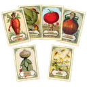 Mr Cabbagehead's Garden