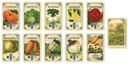 Mr Cabbagehead's Garden