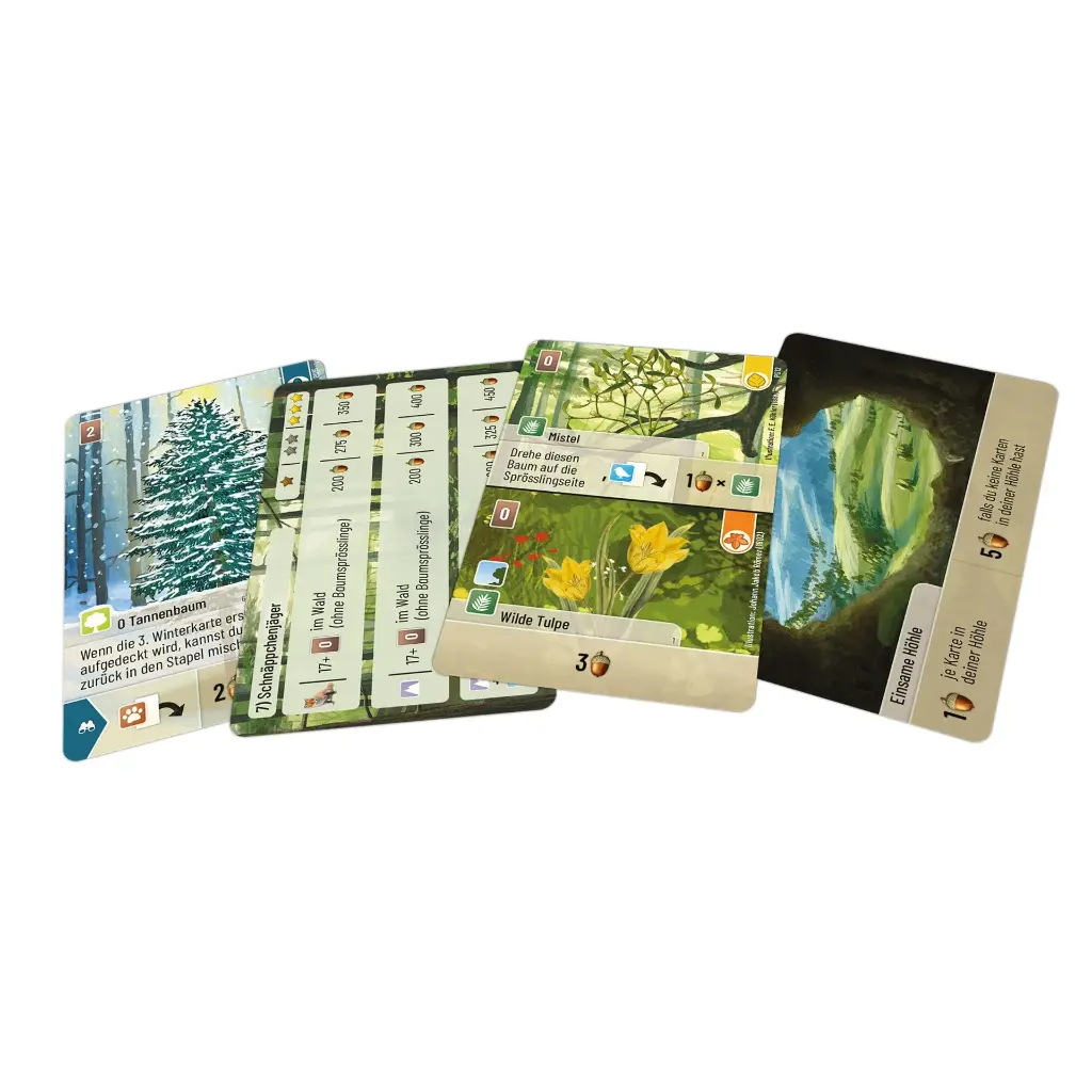 mischwald-entdeckungen-4260402311920-inhalt-web.webp