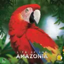 Life of the Amazonia